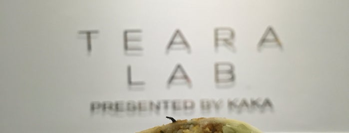 Teara Lab is one of everything.