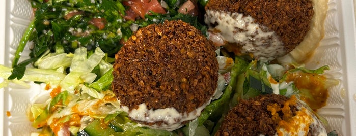 Falafel King is one of BOS Places to Try.