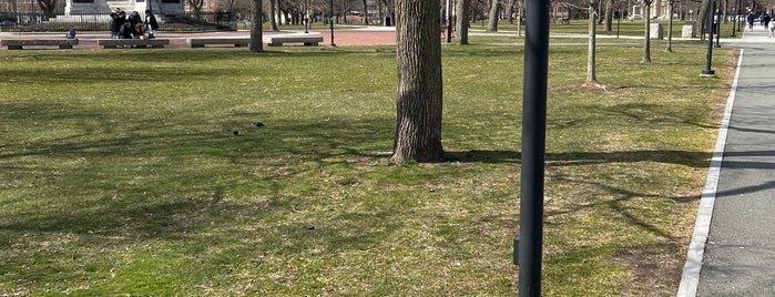 Cambridge Common Park is one of Harvard Places.