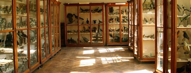 Зоологічний музей ДНУ is one of Музеї та пам'ятки Дніпропетровщини.