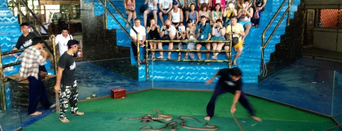 Pattaya Snake Farm is one of Кхоп-Кхунг-Кха или "Что хорошего в Тайланде".