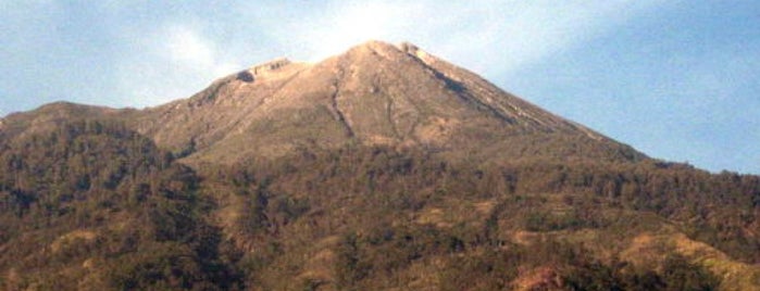Mountain Welirang is one of BALI.