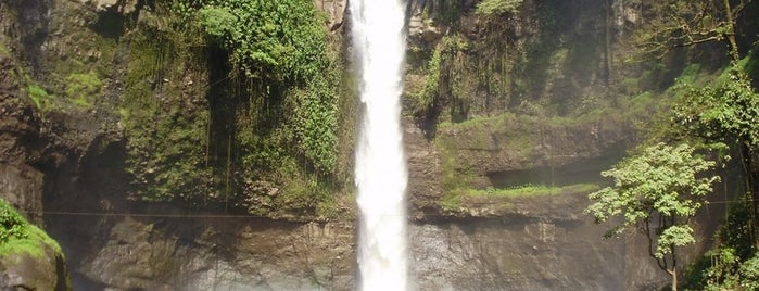 Coban Baung Waterfall is one of Obyek Wisata Jawa Timur SELAIN Malang Surabaya.