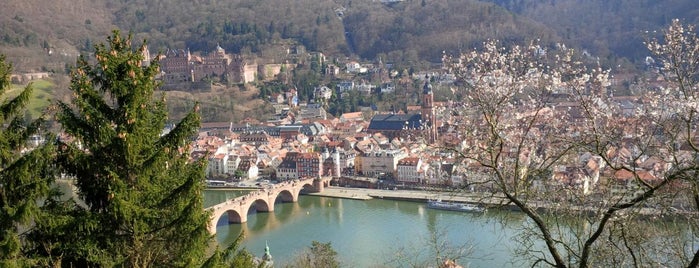 Philosophenweg is one of Heidelberg.