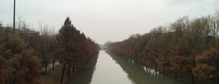 Zhuanqiao Metro Station is one of Metro Shanghai - Part I.