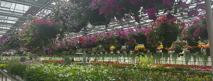 Stanley's Greenhouse is one of East Tennessee.