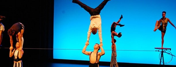 National Institute of Circus Arts is one of Melbourne.