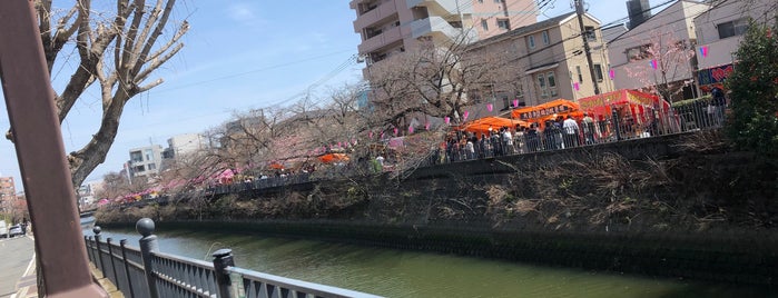 大井橋 is one of 弘明寺.