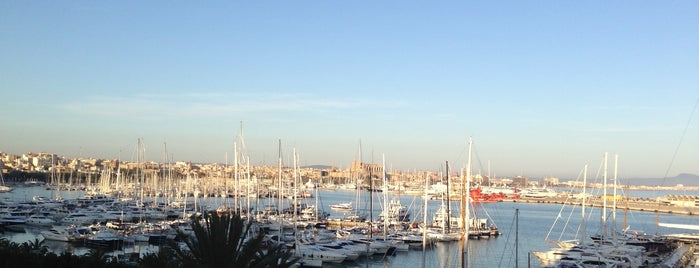 Bahía Mediterráneo is one of Mallorca best.