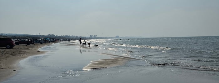 Playa de Antón Lizardo is one of Veracruz.