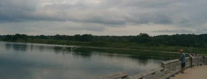 Dupage Forest Forest Preserve Lake is one of Forest Preserves.