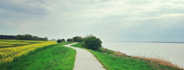 Insel Ummanz is one of Tempat yang Disukai Robert.