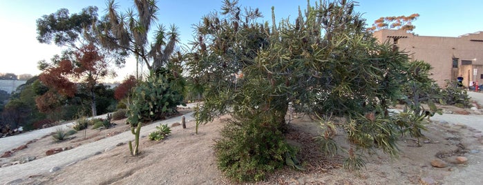 1935 (Old) Cactus Garden is one of California.