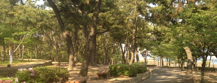 Sumaura Park is one of Sanpo in Kobe.