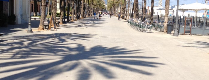 Passeig Marítim is one of Barcelona for a week.