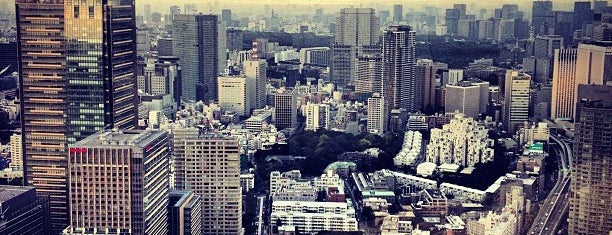 Roppongi Hills is one of 東京.