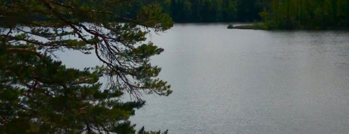 Озеро Молодежное is one of Озеро.