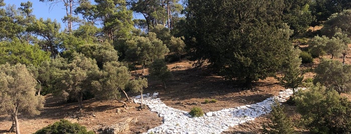 Martı Koyu is one of Gocek.