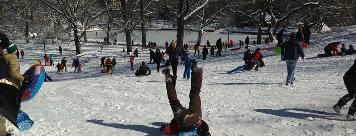Best Things to do in New York When it Snows