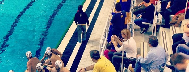 Piscina Stadio Monumentale is one of Lugares favoritos de Fabio.