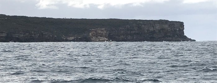 Sydney Heads is one of Bernard'ın Beğendiği Mekanlar.