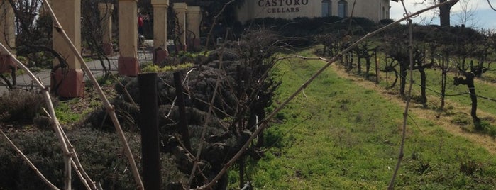 Castoro Cellars is one of SLO / Paso Robles / San Simeon trip.