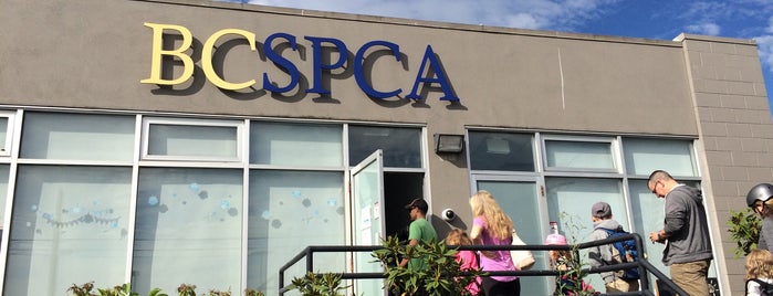 BC SPCA Victoria Branch is one of Canadian Humane Societies.