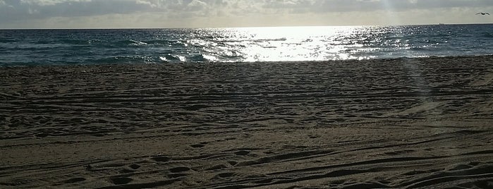 The Ocean is one of Lugares favoritos de Dawn.