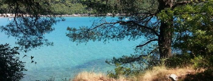 Plavi horizonti is one of Bebho’s Liked Places.