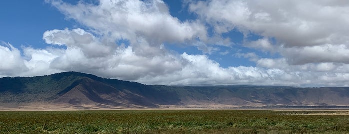 Ngorongoro is one of Lieux qui ont plu à Ugur Kagan.