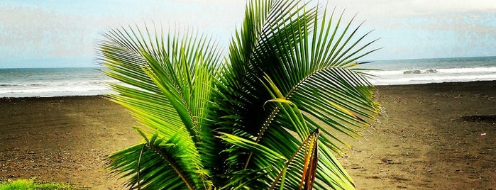 Playa Palo Seco is one of Lugares favoritos de Jonathan.