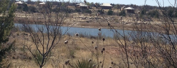 Lake Colorado City State Park is one of Texas State Parks & State Natural Areas.