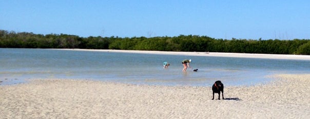 Bonita Beach Dog Park is one of Places I Be & Places I've Been.