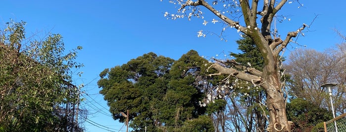 区立 北烏山ほととぎす公園 is one of せたがや百景 100 famous views of Setagaya.
