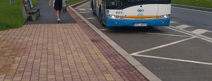 Sídliště Fifejdy (bus) is one of MHD Ostrava 1/2.