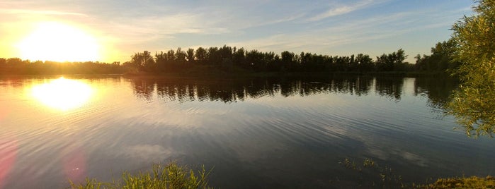 Vrbické jezero is one of Locais curtidos por Jan.