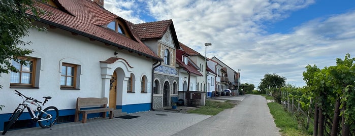Slavín - Vinné Sklepy is one of to-do Morava.