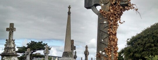 Bohermore Cemetery is one of Ireland.