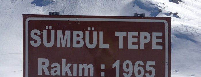 Sümbül Tepe is one of Tempat yang Disukai Taner.