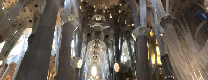 The Basilica of the Sagrada Familia is one of Talha’s Liked Places.