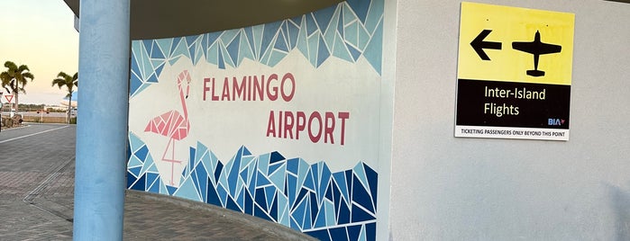 Bonaire International Airport (BON) is one of Airports I visited.