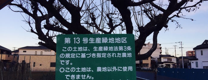 志木市第13号生産緑地地区 is one of 木・緑地.