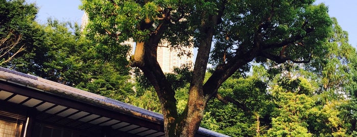 新宿区みどりの文化財 保護樹木 S48-228 クスノキ_十二社熊野神社 is one of 新宿区.