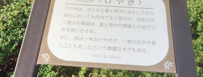 富士見市 市制20周年記念樹 市の木〈けやき〉 is one of モニュメント・記念碑.