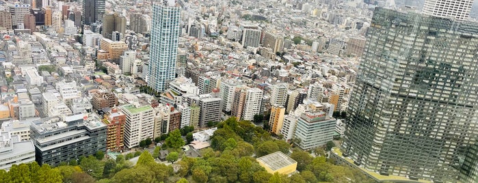 新宿セントラルパークタワー is one of 新宿区.