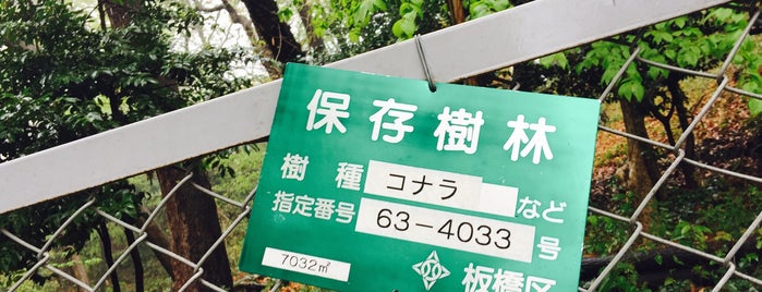 板橋区保存樹林 第63-4033号 中台さくら公園 is one of 木・緑地.
