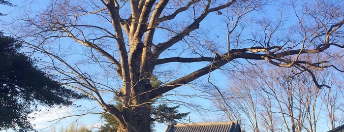 氷川神社 is one of 神社_埼玉.