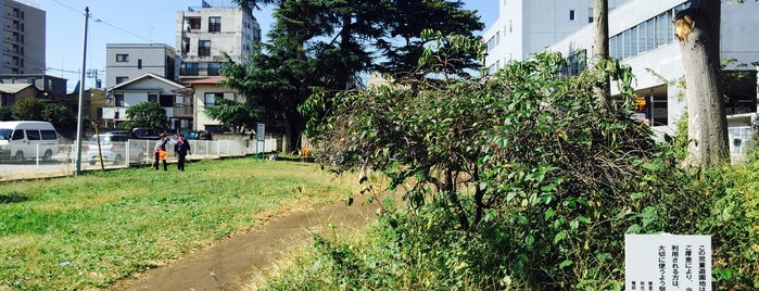 和光市保存樹木 98228 ケヤキ_児童遊園地 is one of 木・緑地.