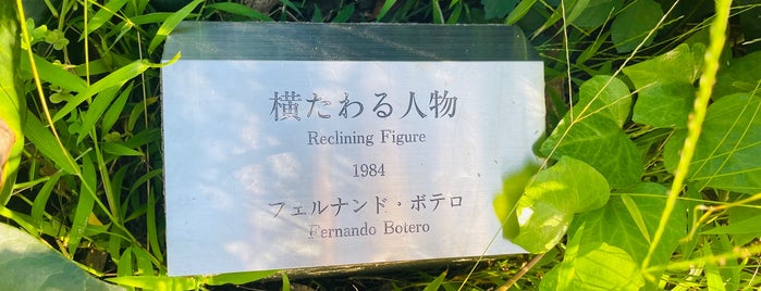 横たわる人物 フェルナンド・ポテロ is one of 埼玉県_さいたま市.