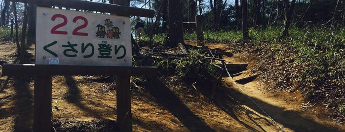 冒険コース 22『くさり登り』 is one of 公園_埼玉県.